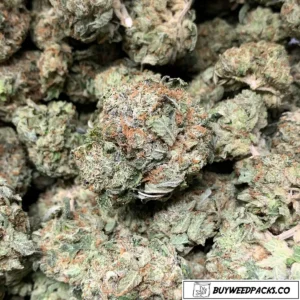 Afghan-Kush-Wholesale-Weed
