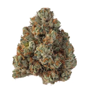 wXkEA3mRVKByNuz3pchL_KK-smol-cover